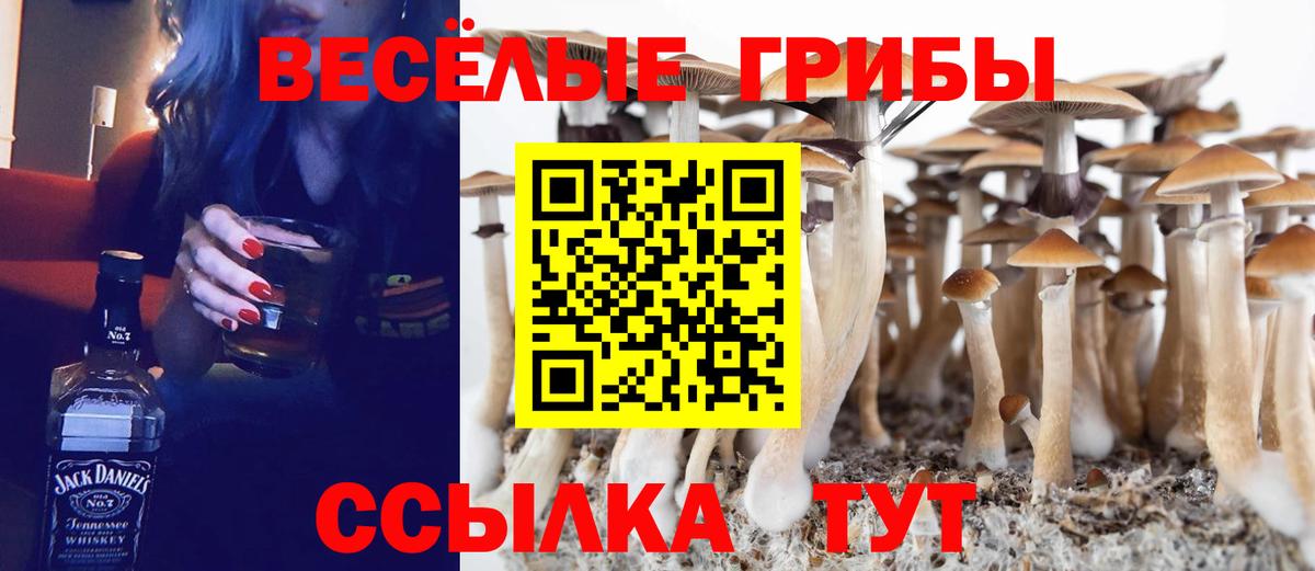 Димитровград  Галлюциногенные грибы ЛСД  Вход с VPN  Псилоцибиновые грибы MAGIC MUSHROOMS 